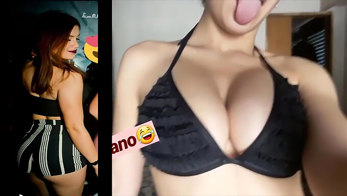 Argentinské Kočky V Kompilaci Nejkrásnějších Videí Na Instagramu