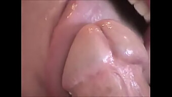 Blowjob Da...