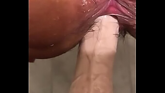 Follando Culo Y Coño Con Un Dildo Sucio En El Baño